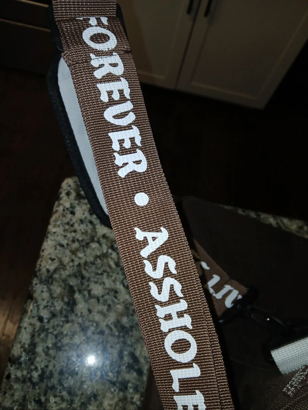 New Without Tags ASSHOLES*S LIVE FOREVER - Emotional Baggage Duffle Bag Brown